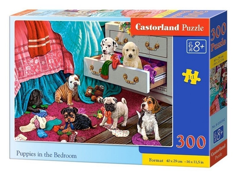 Пазл Castorland 300 B-030392 (шт.)