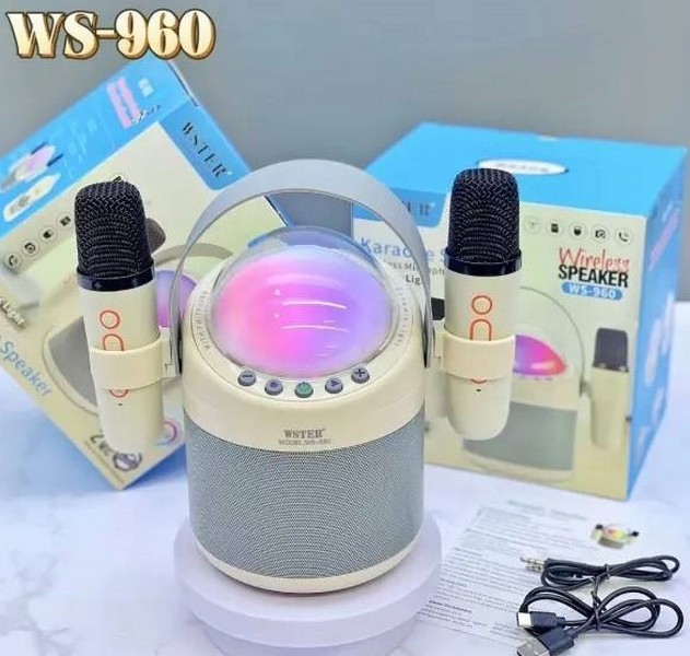 Колонка музична портативна Bluetooth WS-960 F-258 (шт.)