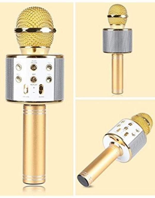 Мікрофон DM Karaoke WS 858 (50) 3996 (шт.)