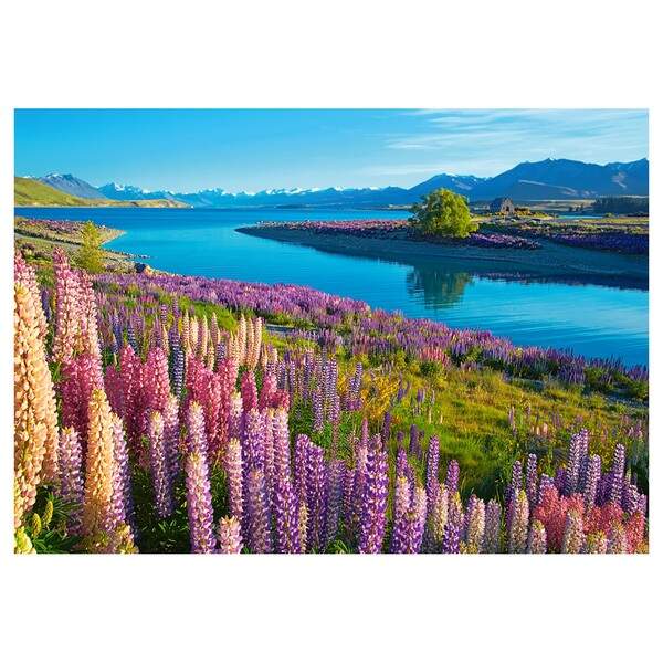 Пазл Castorland 500 B-53896 (шт.)