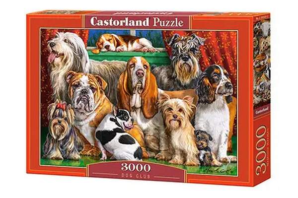 Пазл Castorland 3000 C-300501 (шт.)