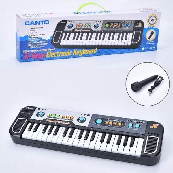 Синтезатор HL-3766FM (24шт) 37клавіш, 46-13,5-4,5см, мікрофон, FM, музика, 3 тони, 3 ритми, регулято (шт.)