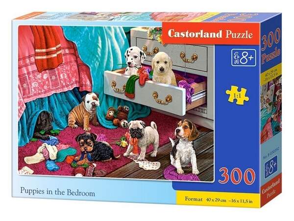 Пазл Castorland 300 B-030392 (шт.)