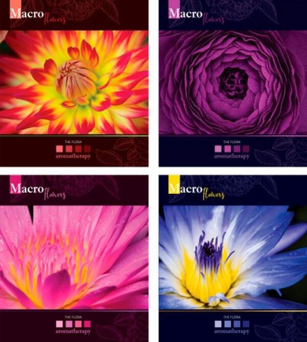 Зошит 60л. (клітинка), 3420к, Мрії збуваються TA5.6011.3420к (шт.)