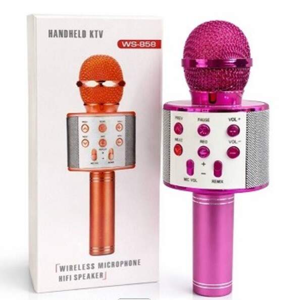 Мікрофон-колонка Bluetooth Wster №WS858 (50) (шт)