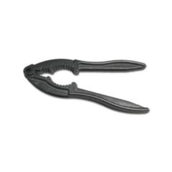 Горіхокол плоский (шт.)