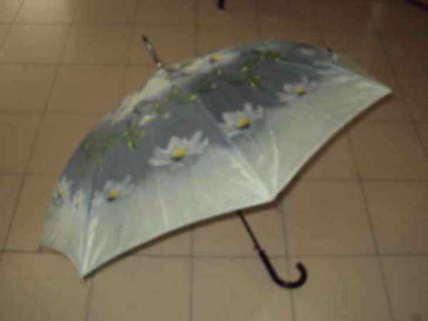 Парасолька жіноча тростина 094-093 (шт.)